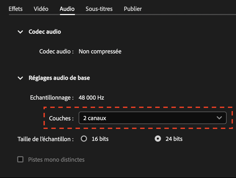 MediaEncoder_-_French_-_03.png