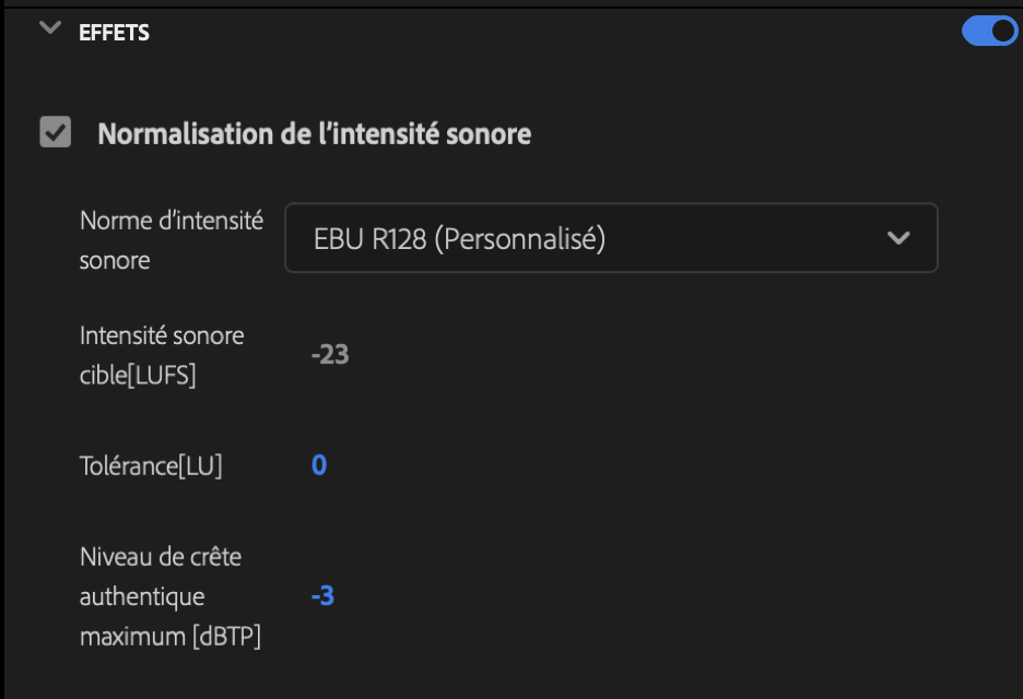 PremierePro_-_French_-_06.png