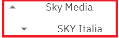 Skymedia.png