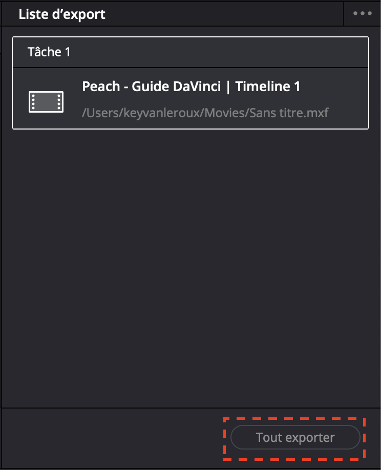 DaVinci_-_French_-_05.png
