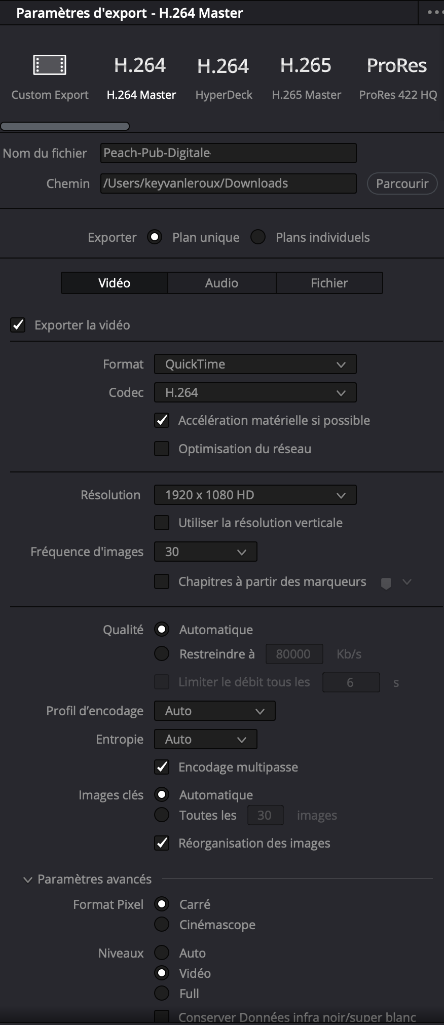 DaVinci - Digital - French 02.png
