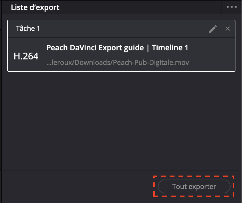 DaVinci - Digital - French 04.png