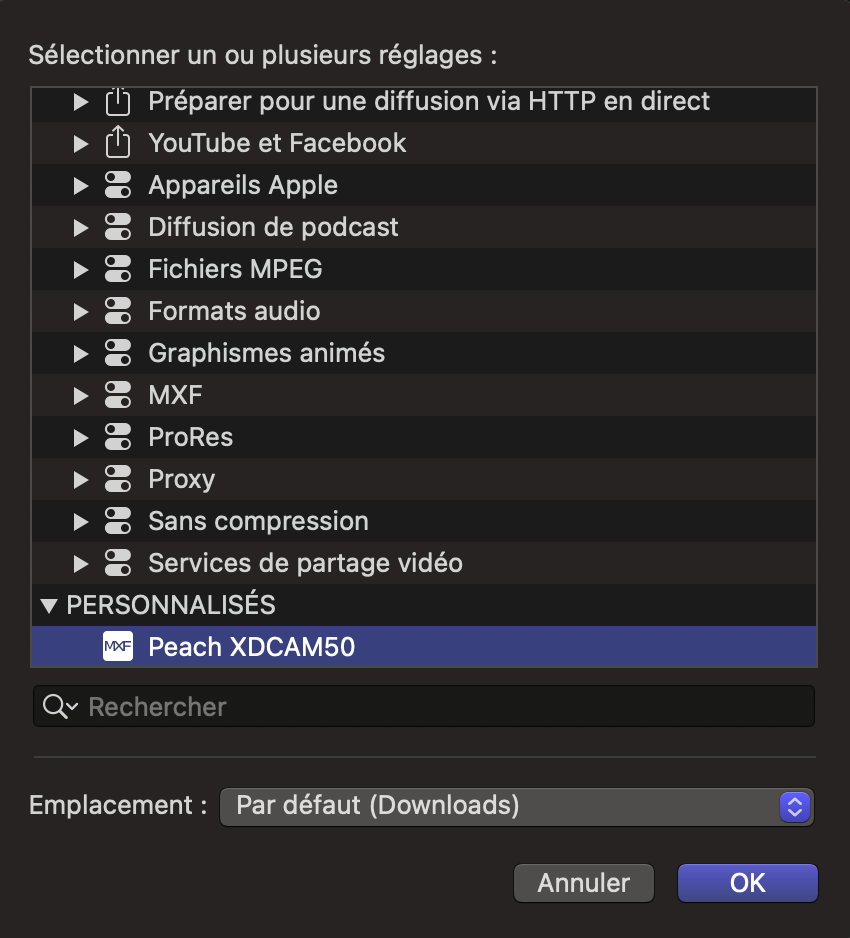 Compressor - XDCAM - French - 07.png