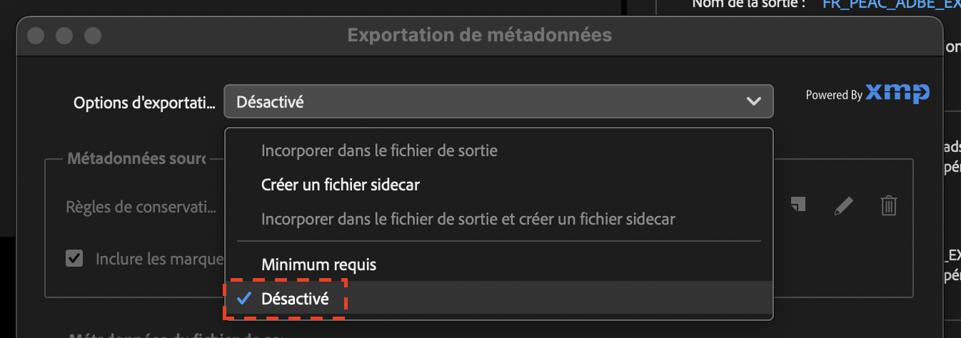 XMP - French 04.png