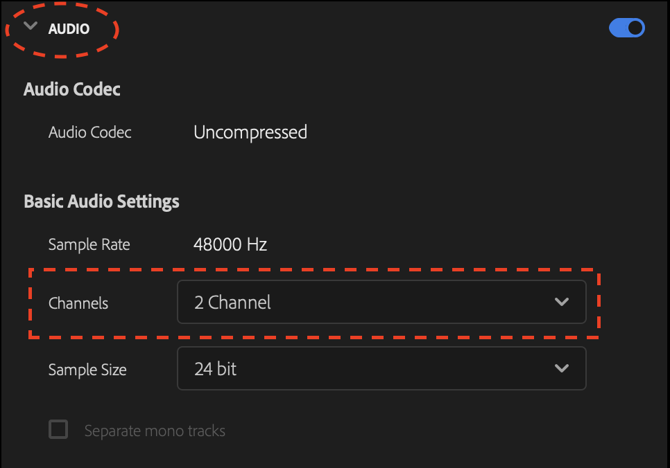 PremierePro_-_AVC_-_03.png